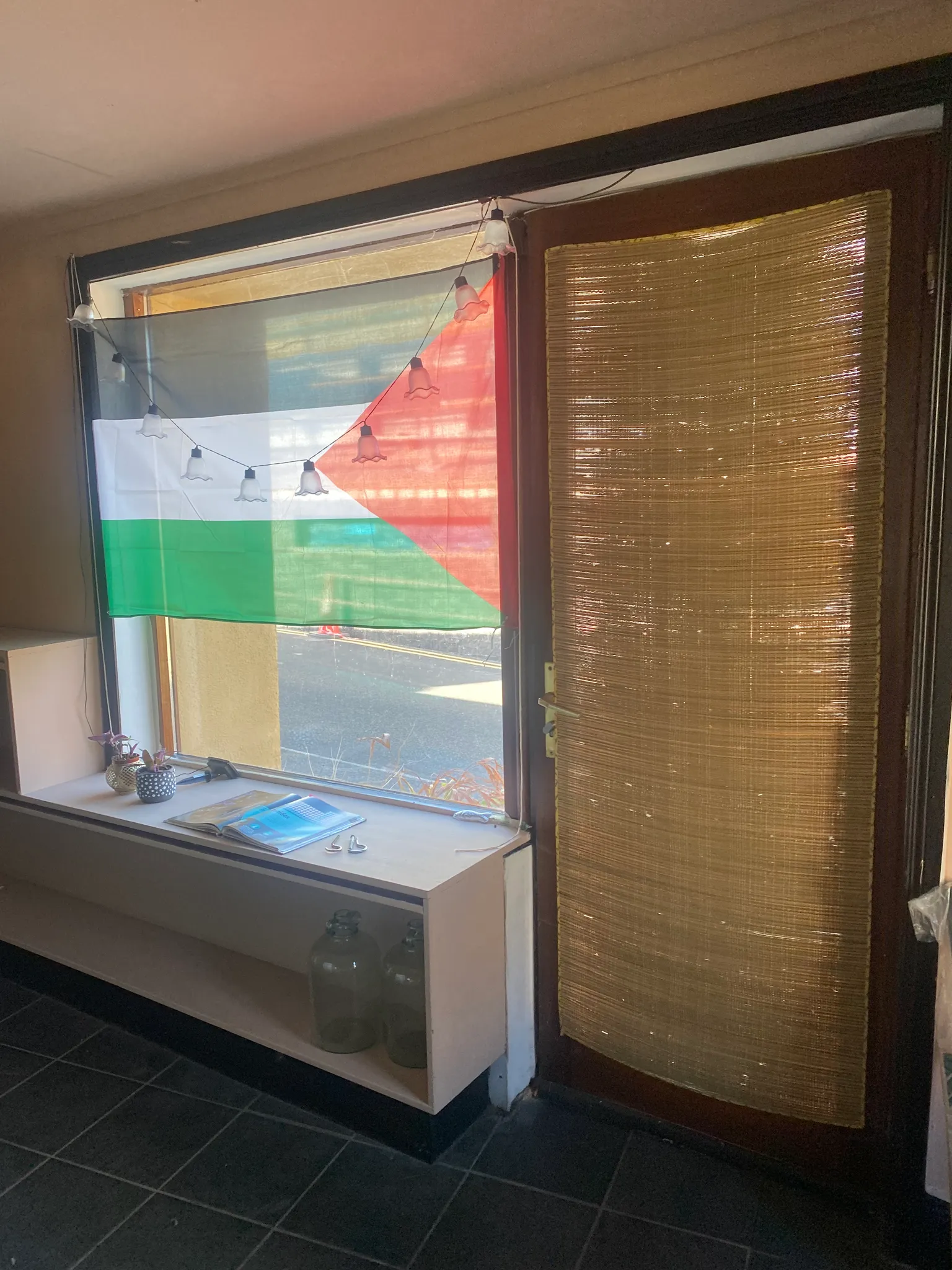 Entryway or hallway window and door with a woven blind on the door, a fabric flag covering part of the window, string lights, and a low shelf with small plants and an open book.