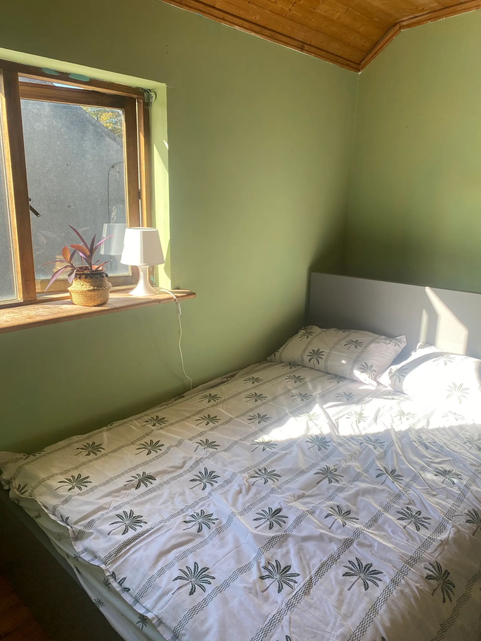 Bedroom with a bed, patterned bedding, a window with a small potted plant and a lamp on the sill, green walls and a wooden ceiling
