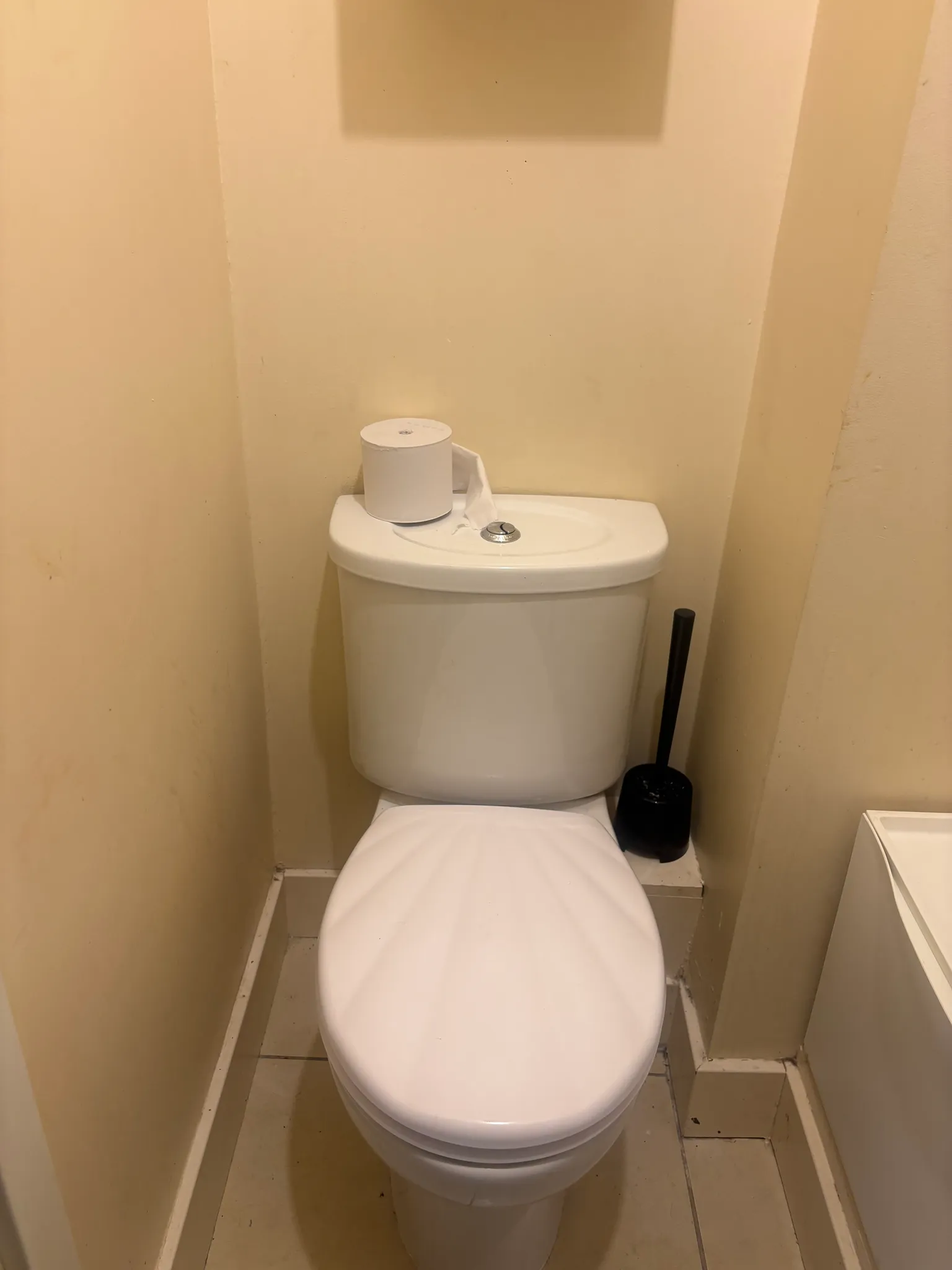 Small bathroom with a toilet, a roll of toilet paper on the tank and a toilet brush beside it.