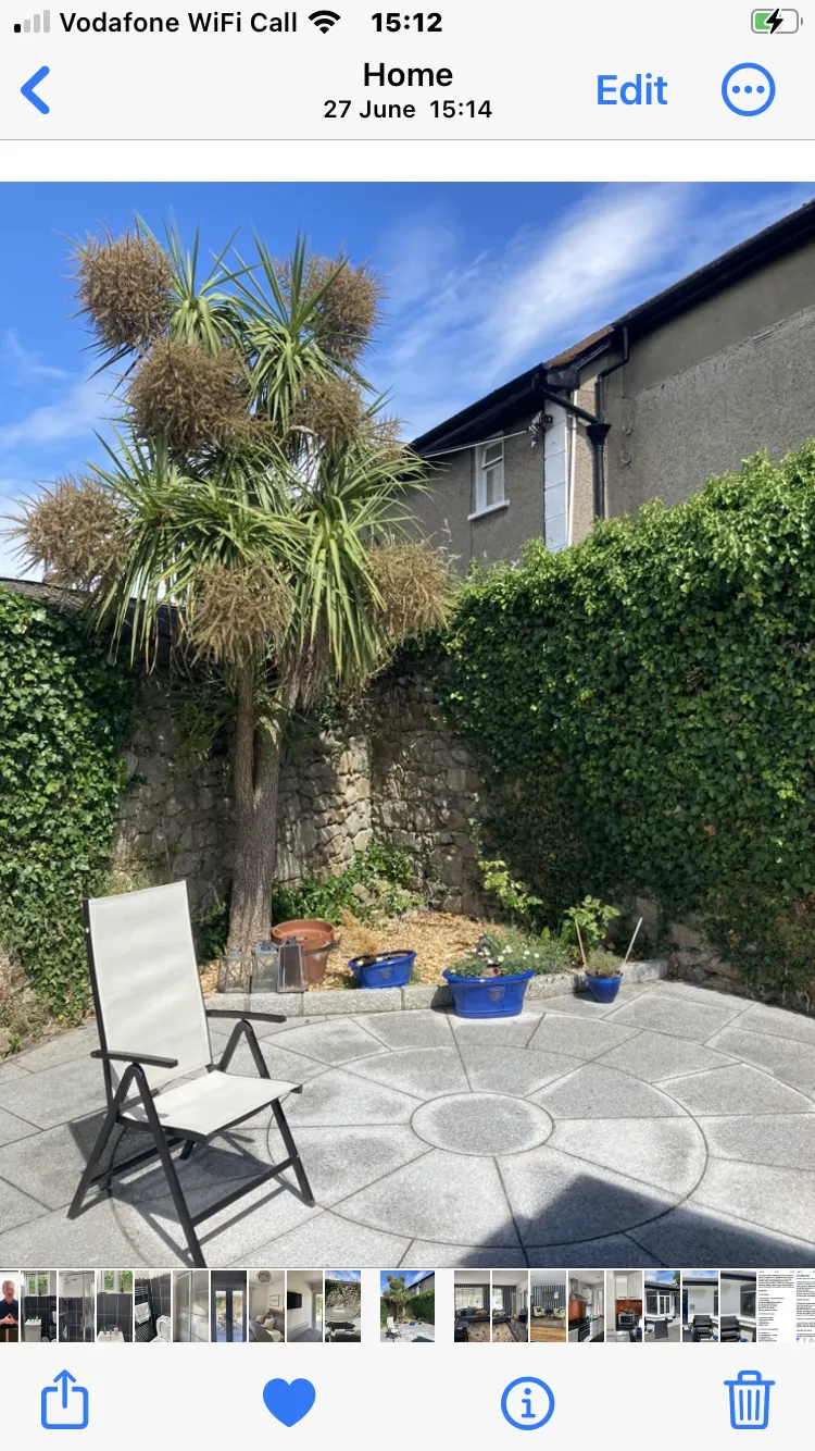Outdoor patio with circular stone paving, a folding chair, potted plants and a tall palm-like tree against a stone wall covered in ivy.