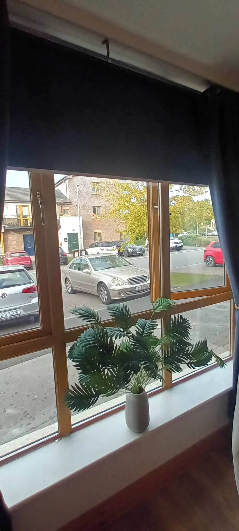 Window with a lowered dark roller blind, potted plant on the windowsill, and a street view with parked cars outside