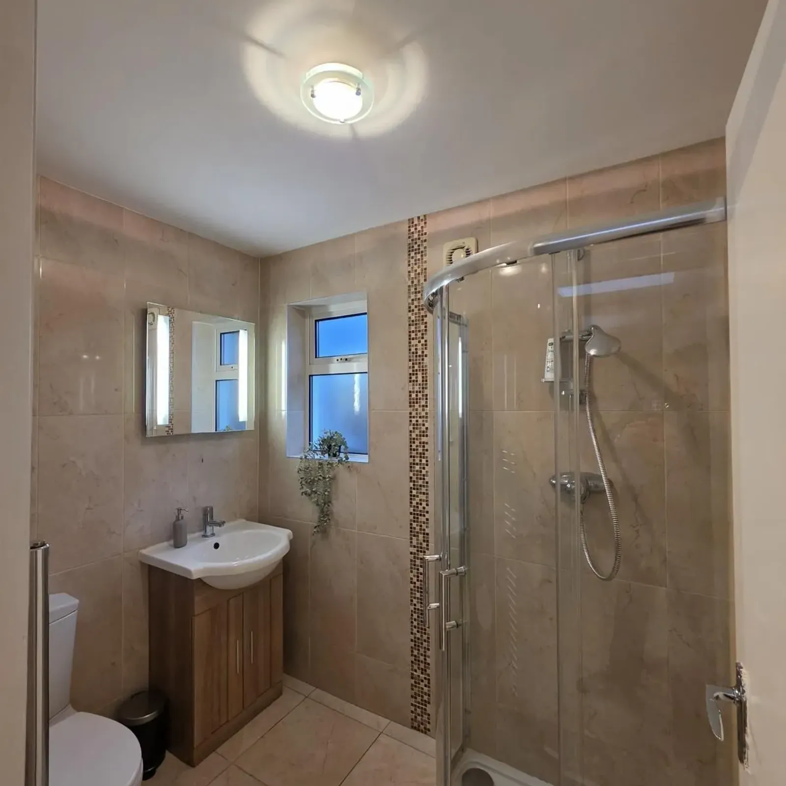 Entire in Dublin 16, Dundrum - Image 2
