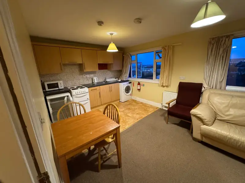 Open-plan living area with a small kitchenette, dining table and chairs, washing machine under the counter, stove and microwave, two armchairs and windows with curtains.