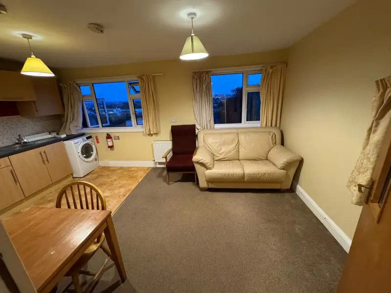 Open-plan living area with a small beige sofa and a single armchair, two windows with curtains, a dining table and chairs, kitchenette cabinets and a washing machine, and two ceiling pendant lights.