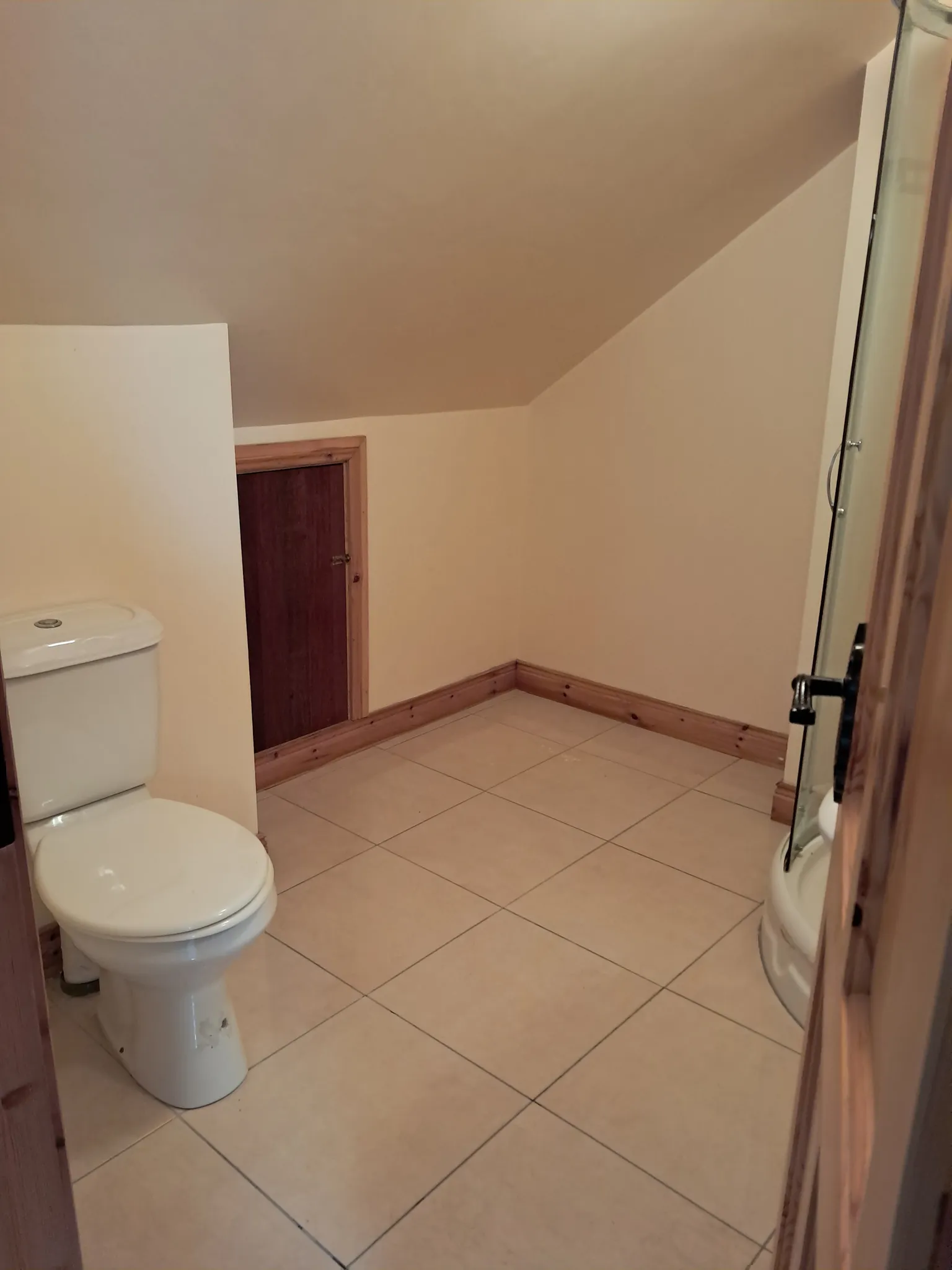 Bathroom with a toilet at left, curved glass shower door at right, tiled floor and sloped ceiling with a small wooden access door in the wall