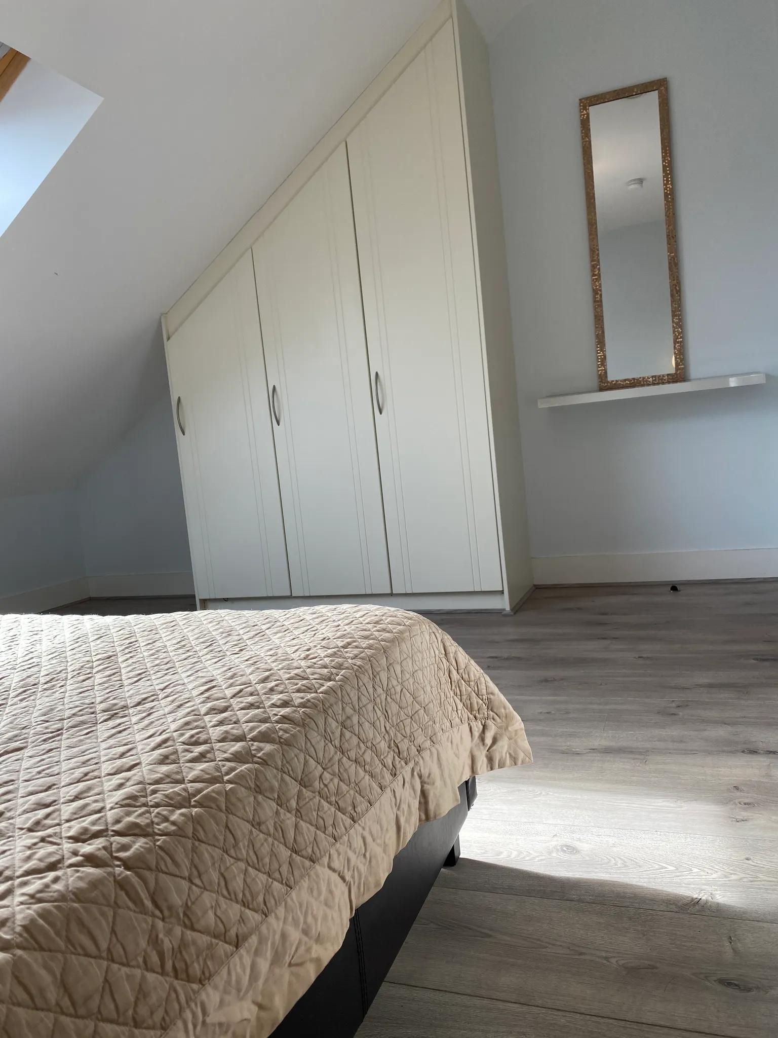 Bedroom with a bed in the foreground, a built-in wardrobe under a sloped ceiling, a wall mirror above a floating shelf, and a skylight.