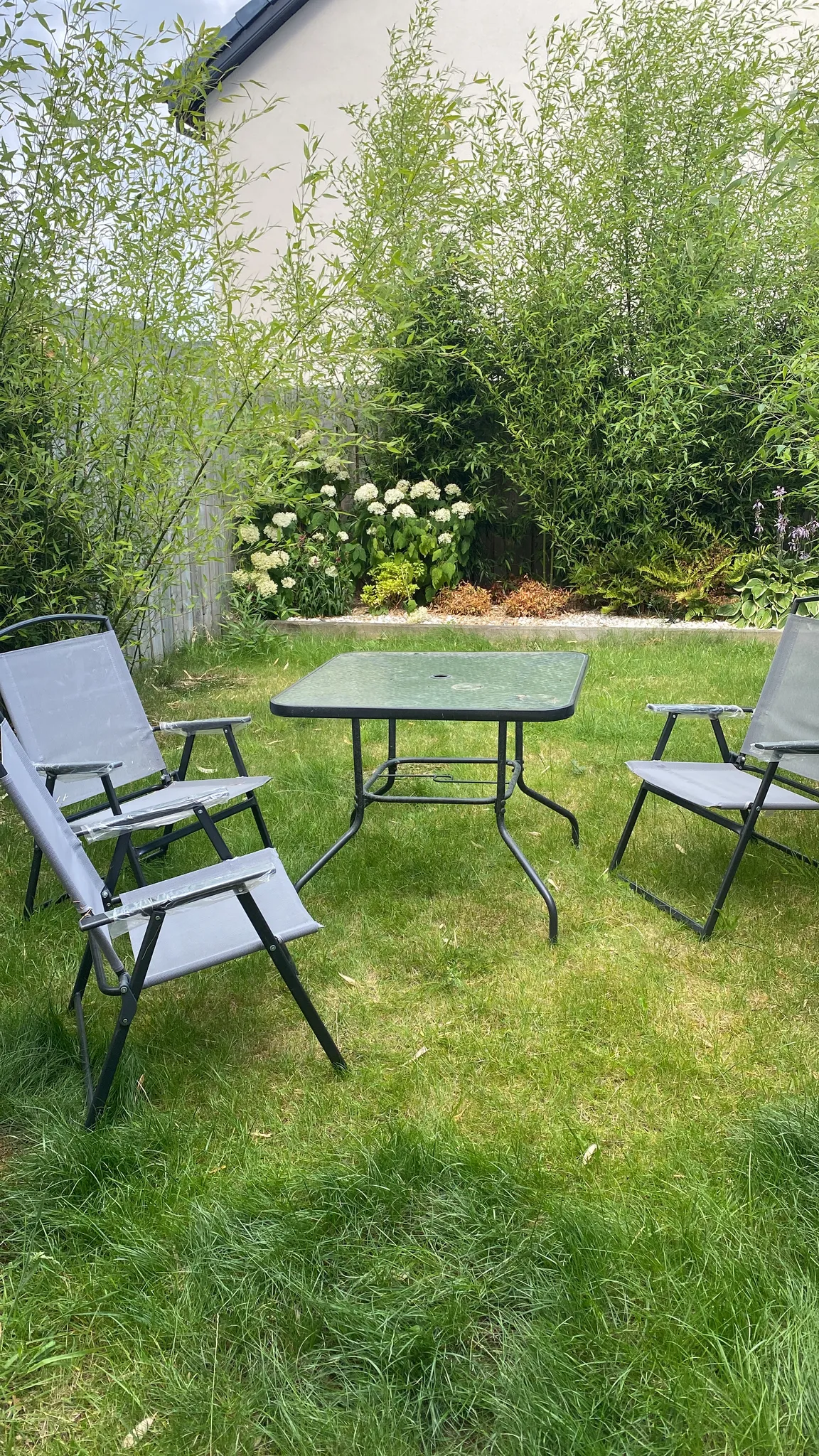 Backyard lawn with a square glass-top table surrounded by four folding outdoor chairs, bamboo and flowering shrubs along a fence and a house wall in the background.