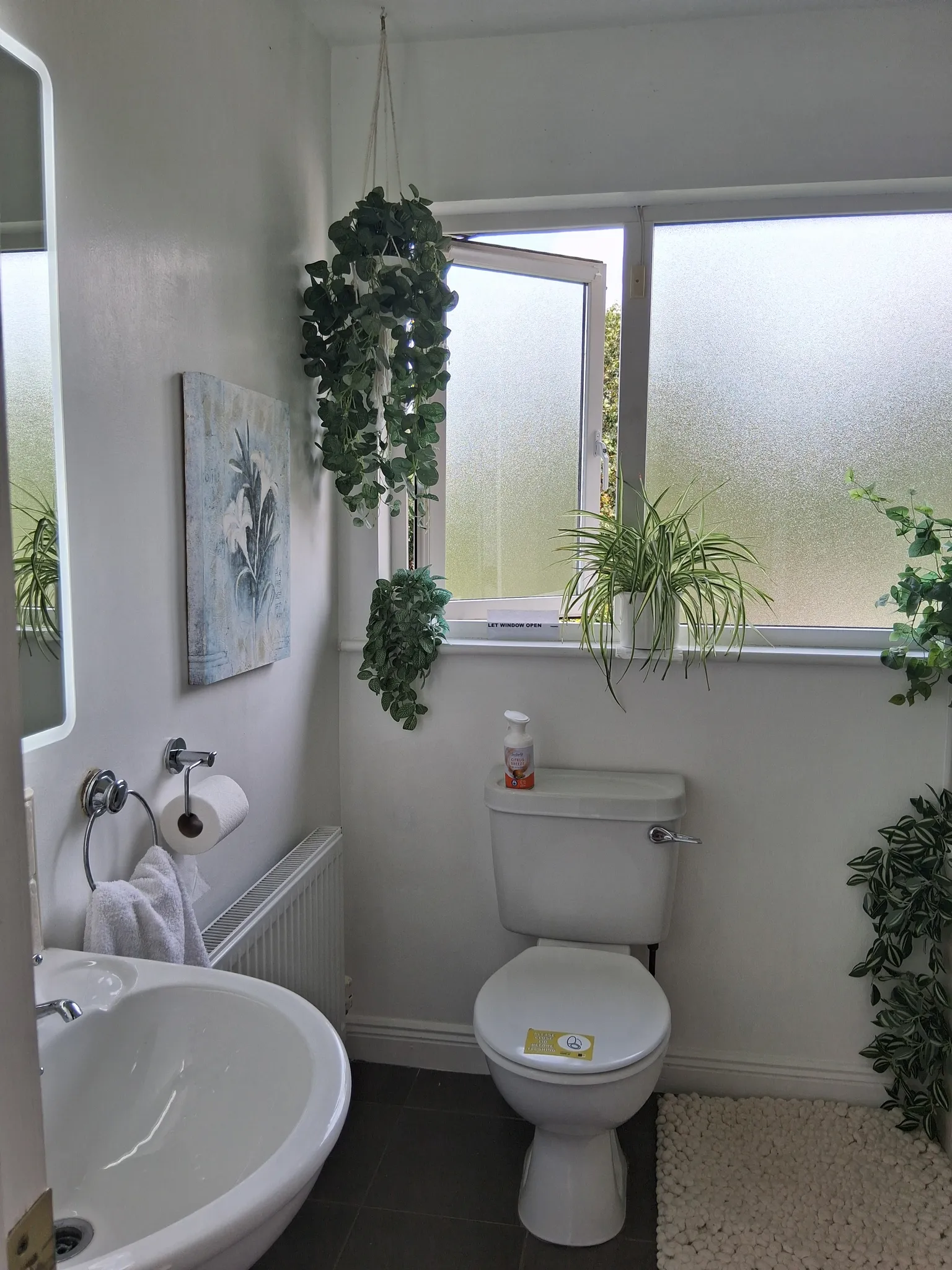 Bathroom with a toilet, sink, frosted window, and several potted and hanging plants