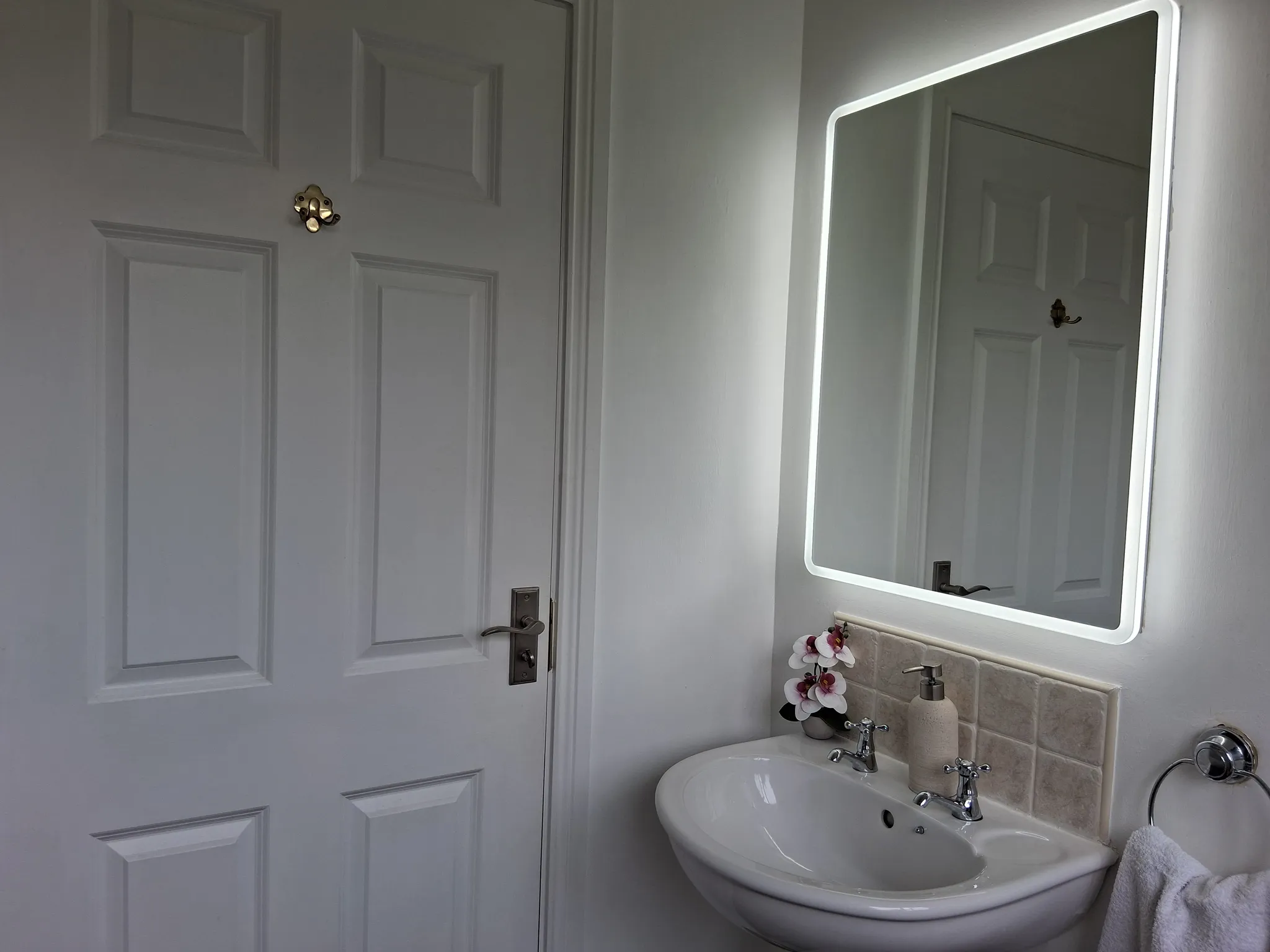 Bathroom sink with wall-mounted illuminated mirror, faucet, soap dispenser, small potted flowers and towel on a ring, with a white paneled door nearby.