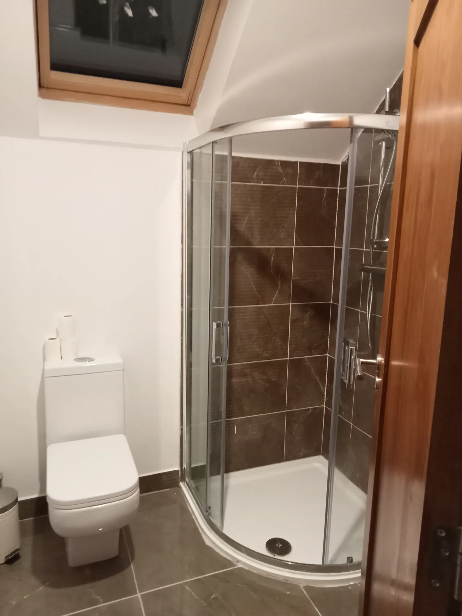 Bathroom with a corner glass shower enclosure, toilet, and a skylight window