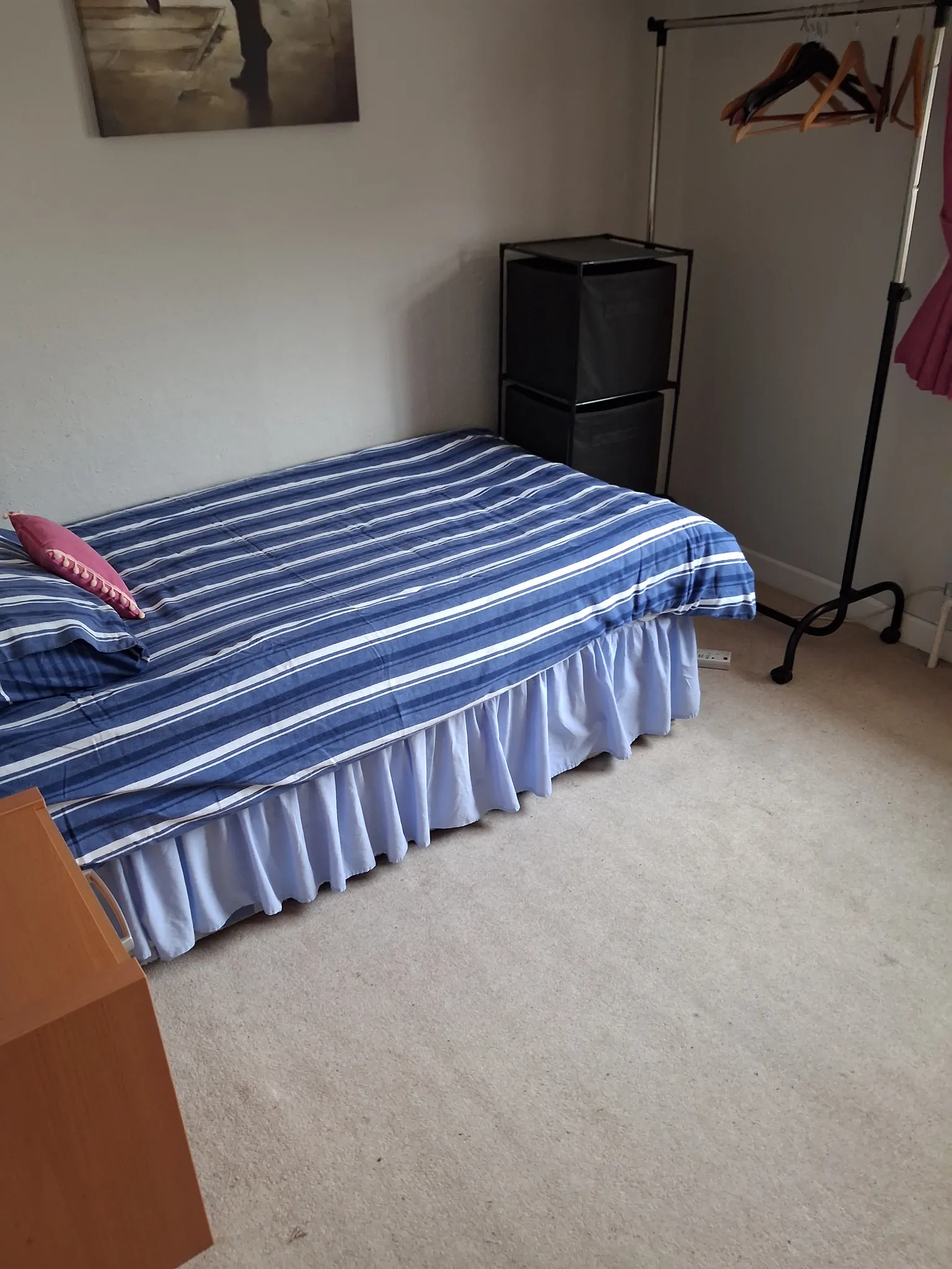 Bedroom with a single bed with blue striped bedding and a pink pillow, a freestanding clothes rack, and two black fabric storage cubes against a light wall.