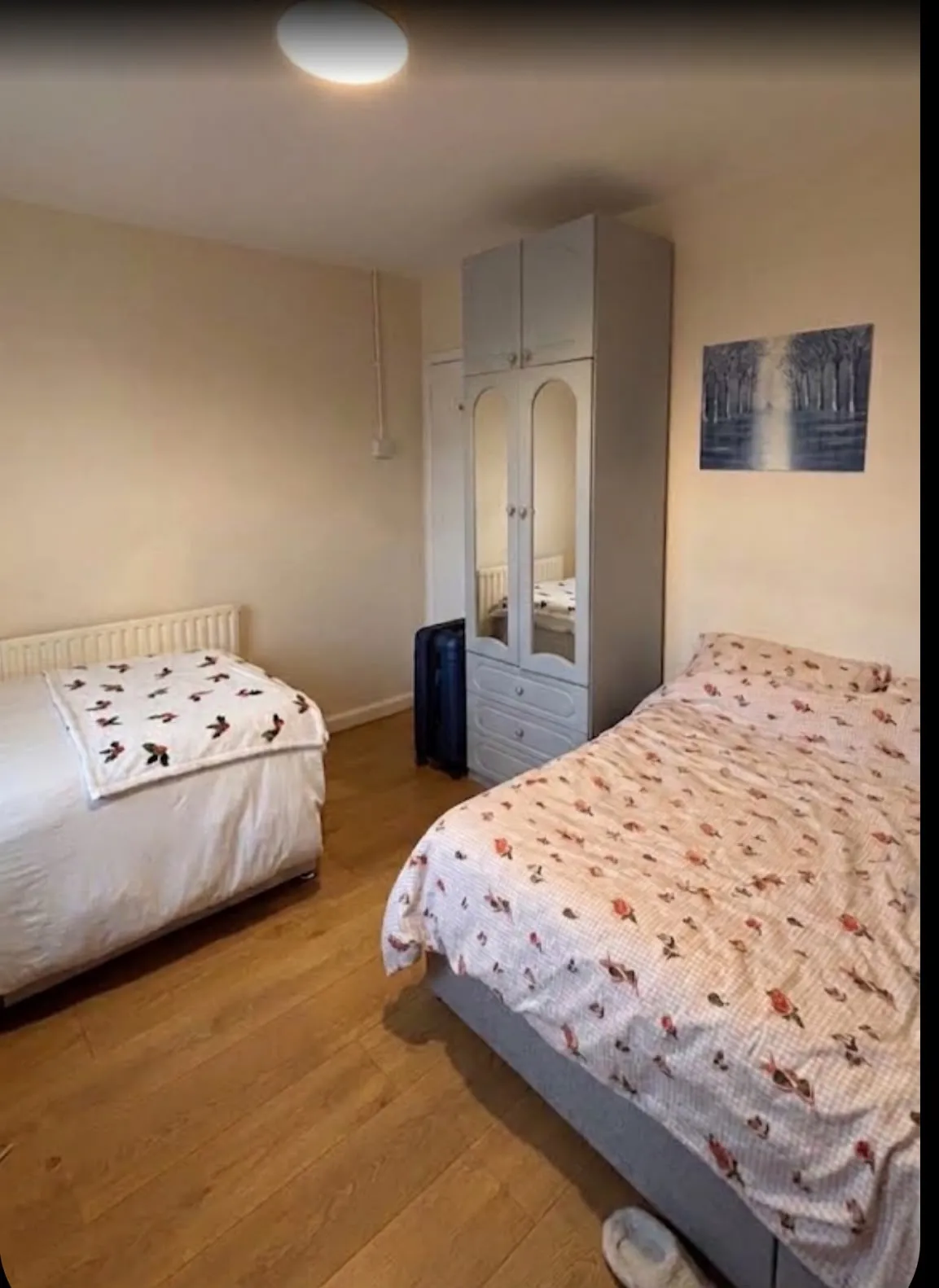 Bedroom with two single beds, a tall mirrored wardrobe, wooden floor, radiator, and wall art.