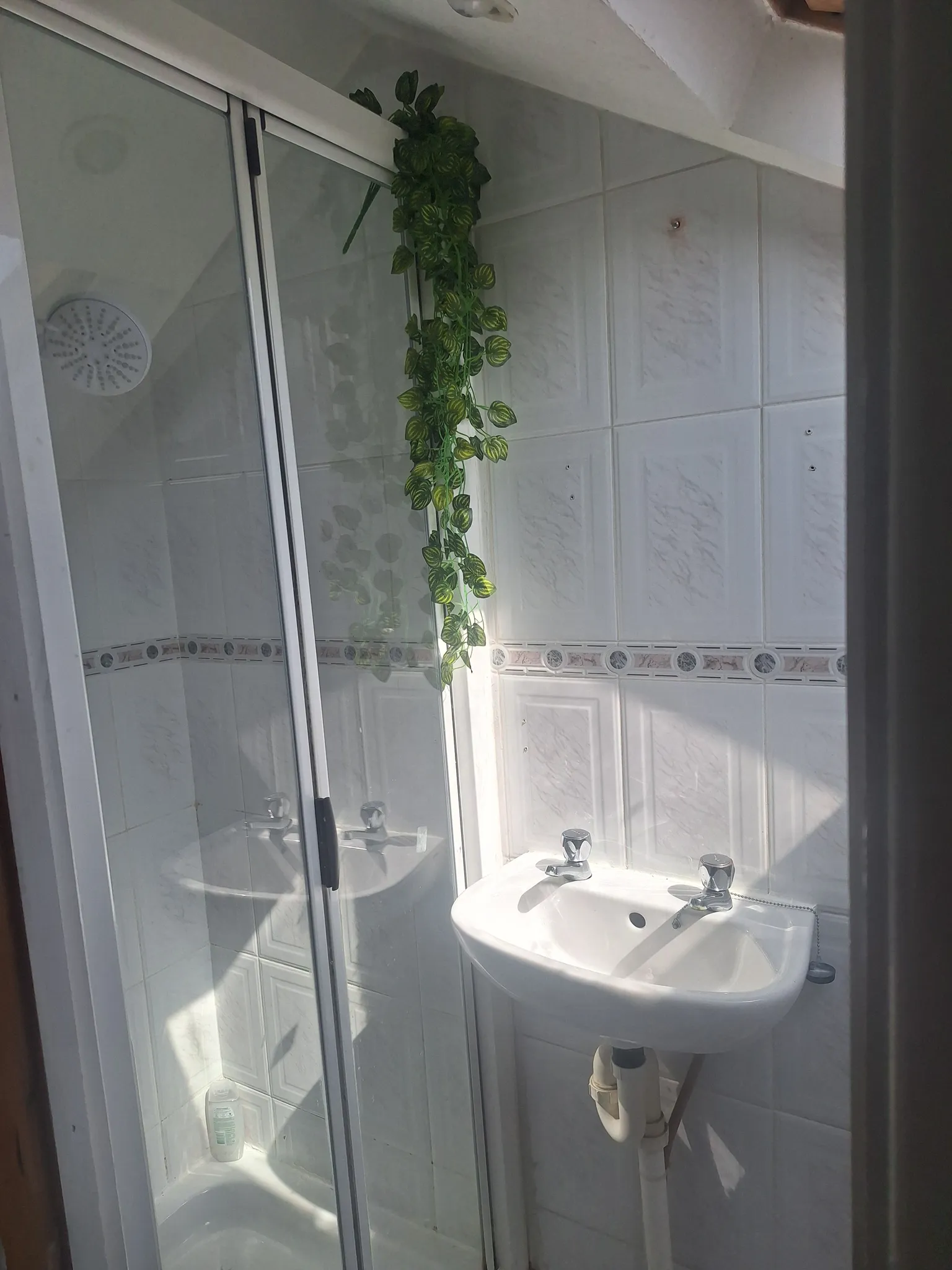 Bathroom with a corner glass shower enclosure, wall-mounted sink with two taps, tiled walls and a hanging trailing plant.