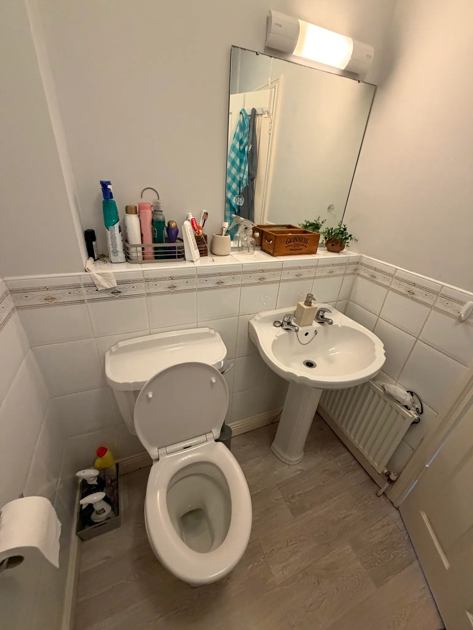 Bathroom with a toilet (lid up), pedestal sink, mirror and shelf with toiletries.