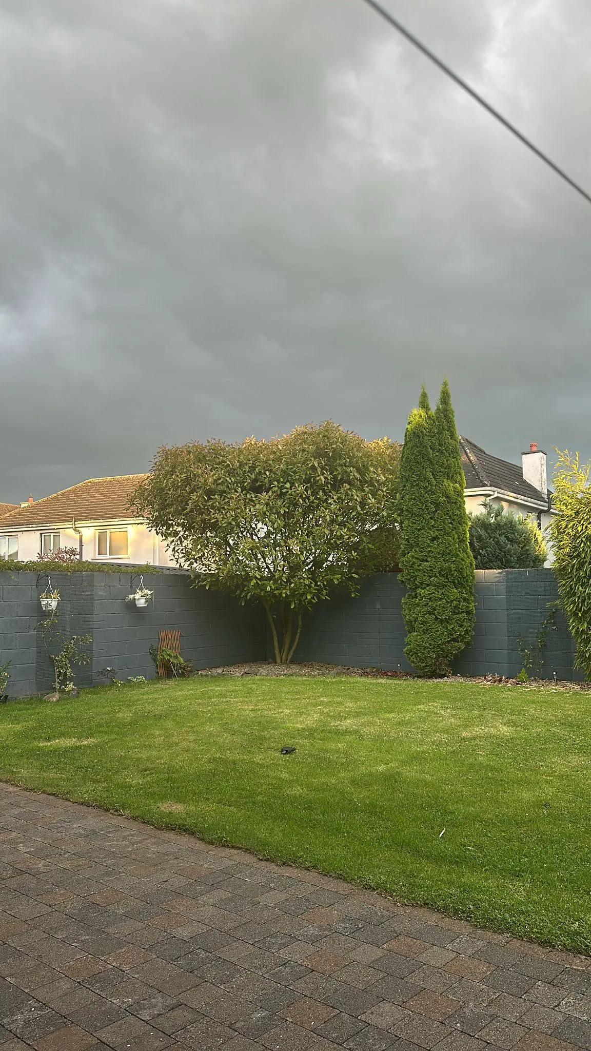Backyard with a lawn, paved patio in the foreground, low brick fence, a large tree and a tall conifer under a cloudy sky.
