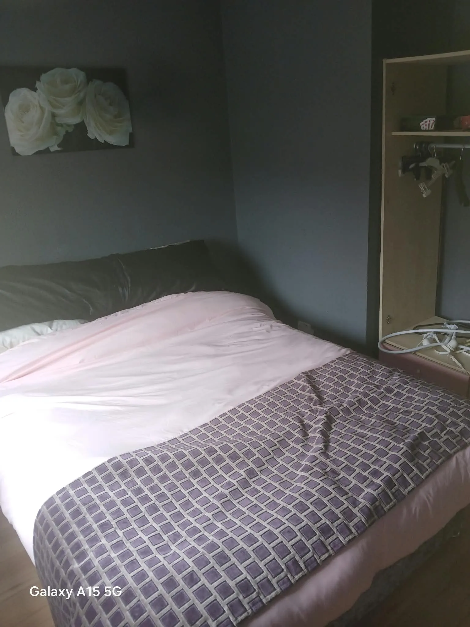 Bedroom view showing a bed with a dark headboard, pink bedding and patterned throw, and an open wardrobe on the right with hangers.