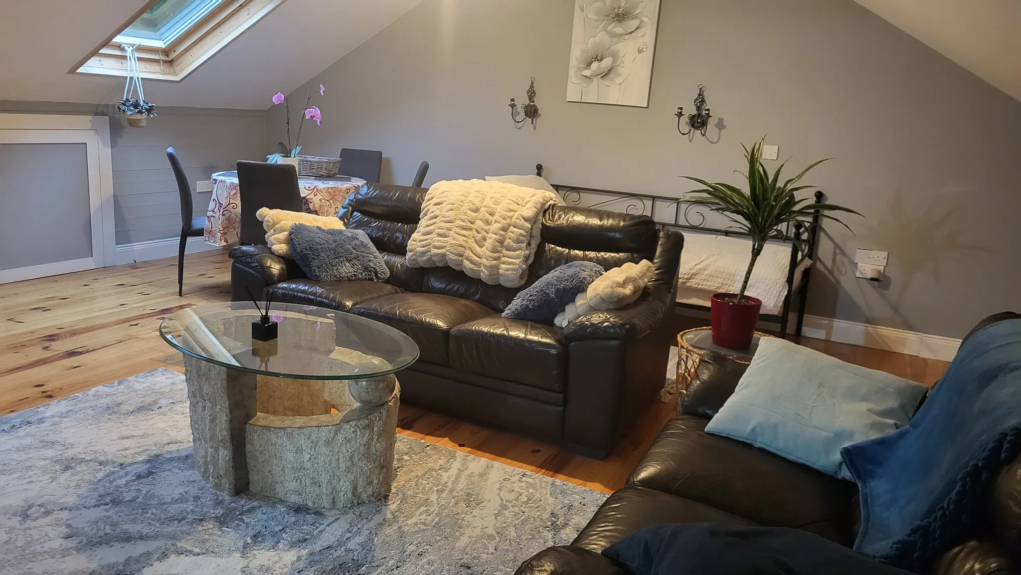 Open-plan living area with leather sofas, glass coffee table, rug, small dining table by a skylight, and a potted plant.