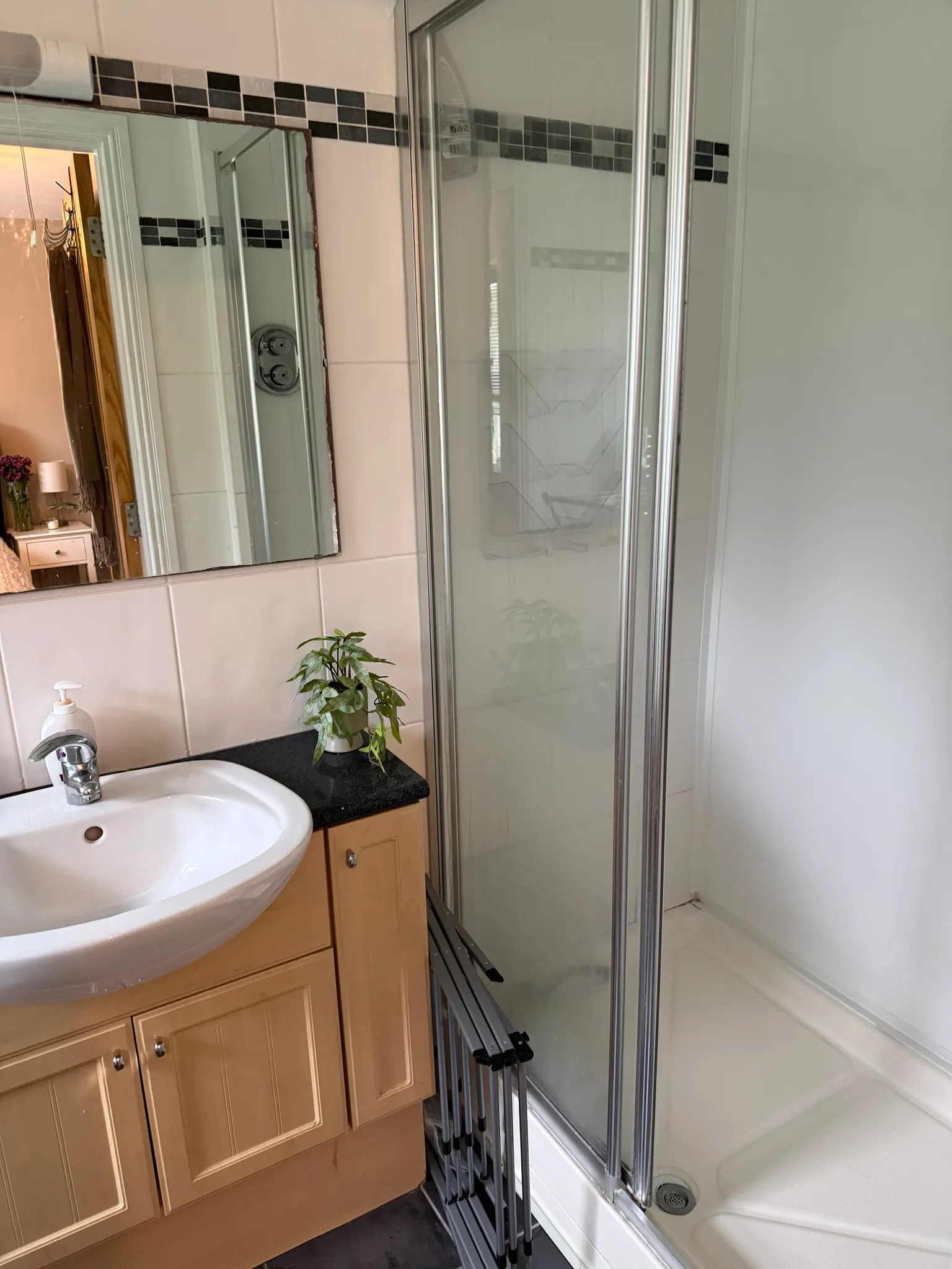 Bathroom with a sink and vanity cabinet, mirror above the sink, potted plant on the counter, and a glass-enclosed shower stall.
