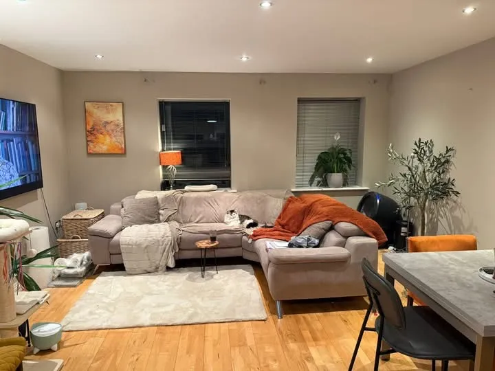 Living room with an L-shaped beige sofa, small round coffee table, rug, wall-mounted TV, two windows with blinds, floor lamp, plants, dining table and chairs; a cat is lying on the sofa.