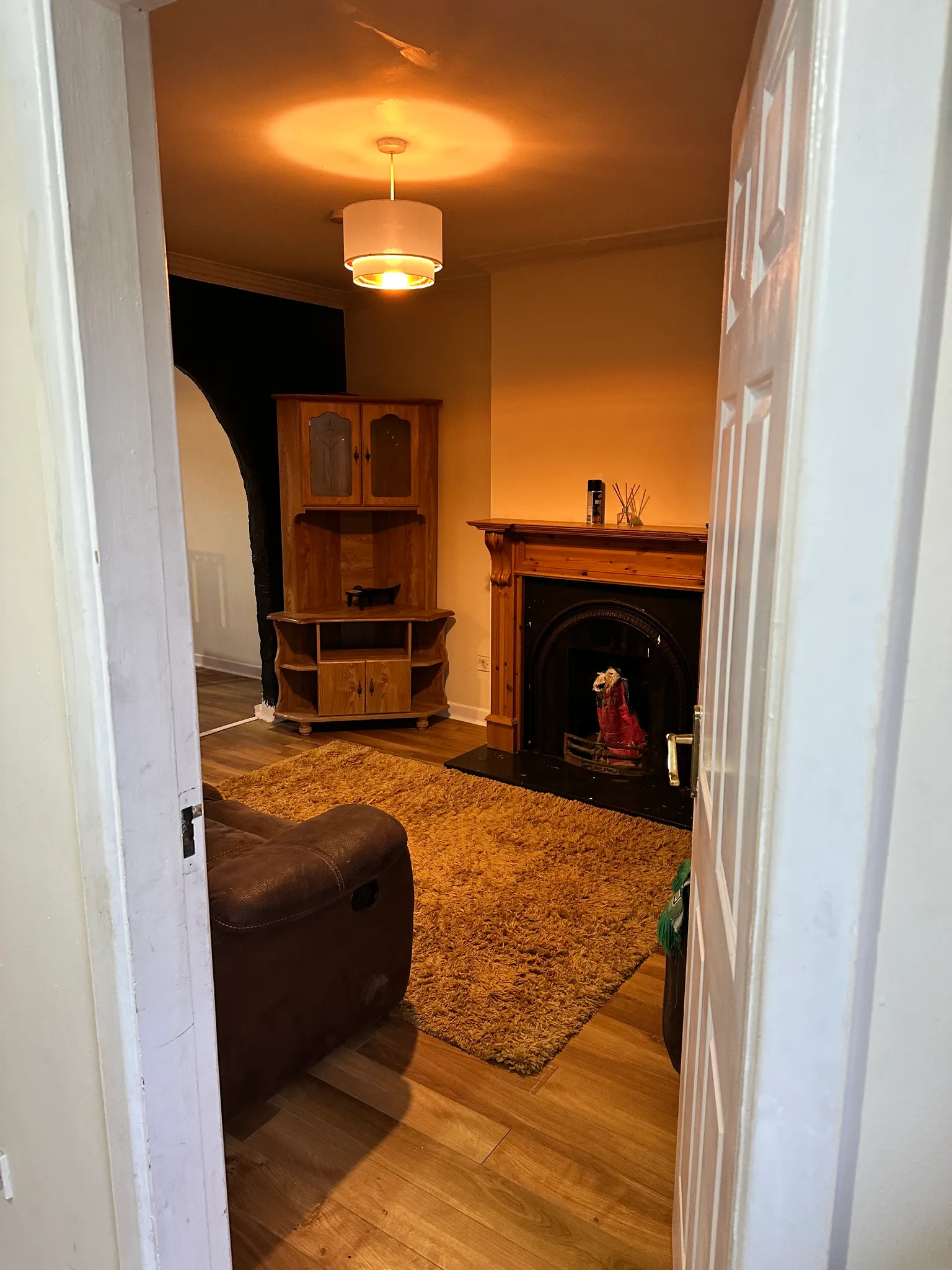 Living room seen through an open doorway with a fireplace, wooden shelving unit, pendant light, armchair, and shag rug.
