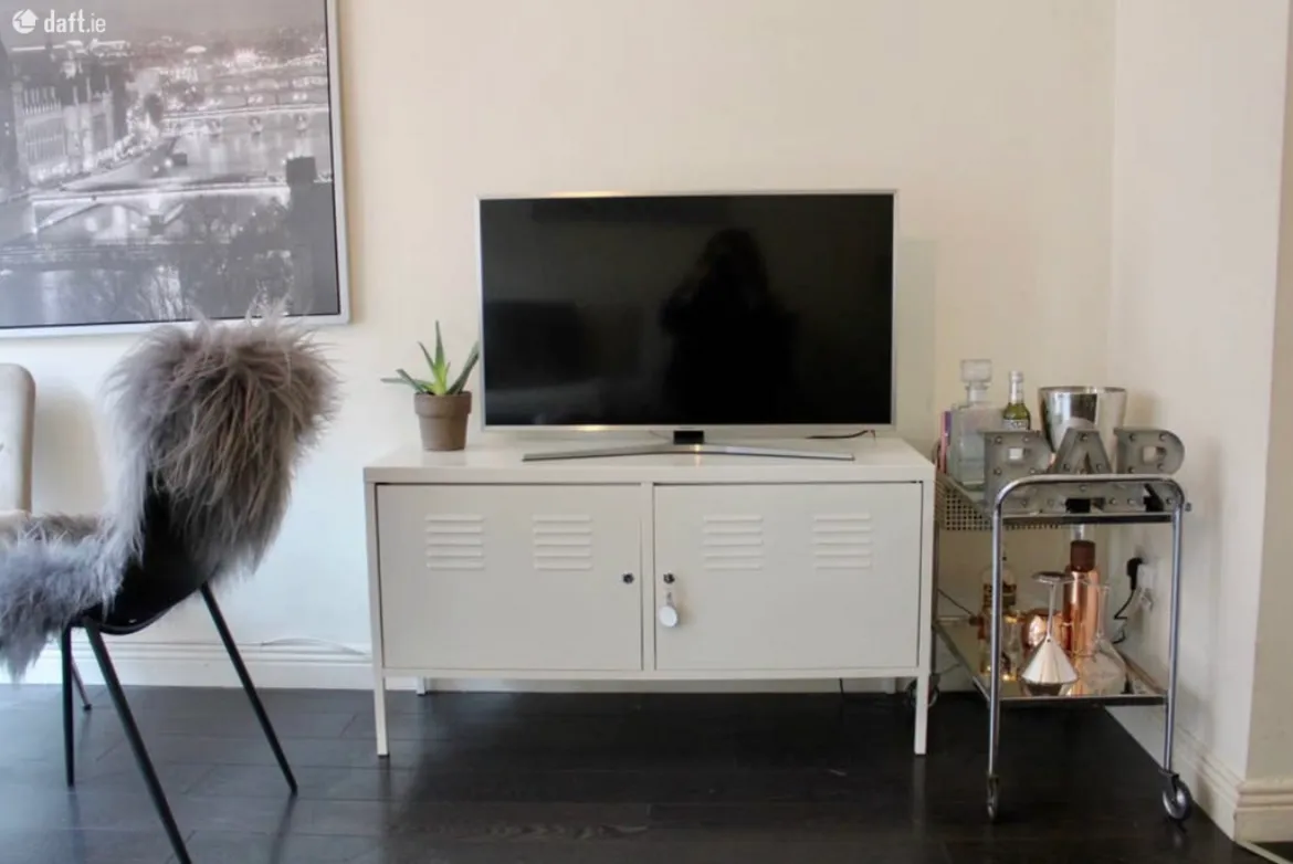 Living room with a TV on a low white media cabinet, a fuzzy upholstered chair at left, a small potted plant on the cabinet and a metal bar cart with bottles at right.