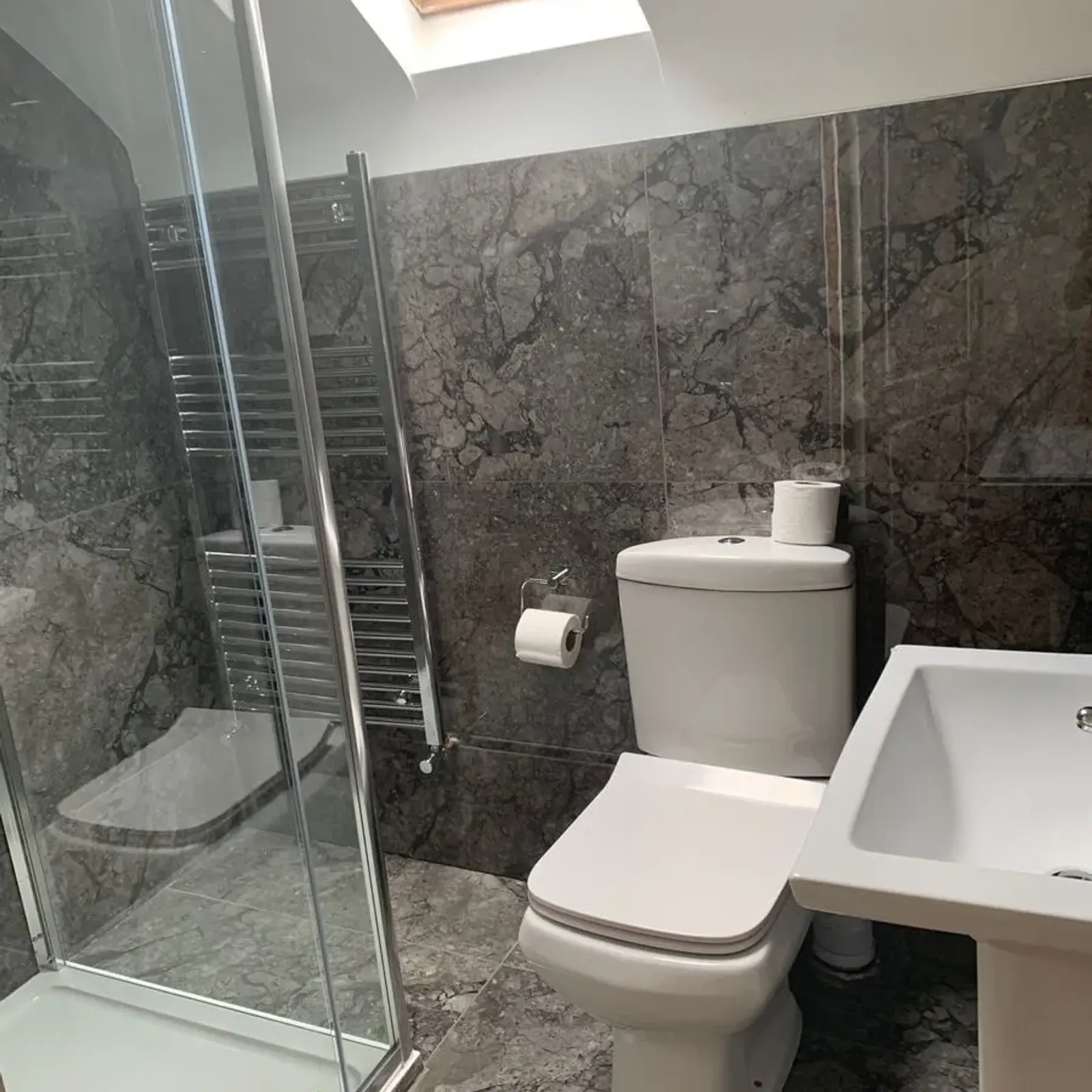 Bathroom with a toilet, sink, glass shower enclosure, wall-mounted towel radiator and skylight