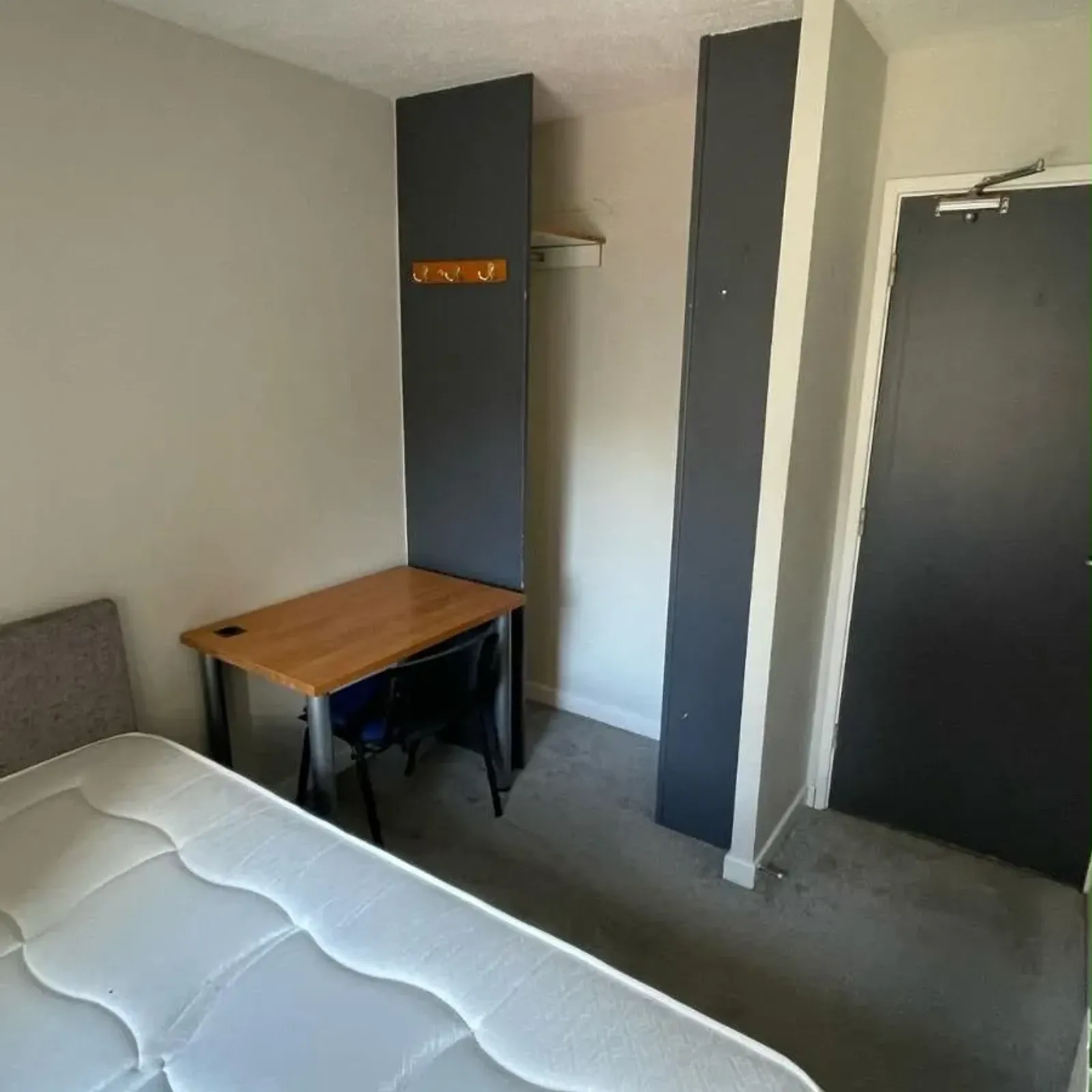 Bedroom with a mattress in the foreground, a small desk and chair against the wall, built-in open closet alcove, ceiling light, and a closed door.